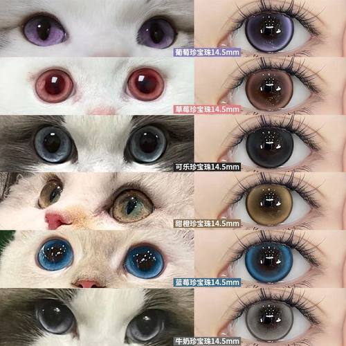 两副送护理液+盒