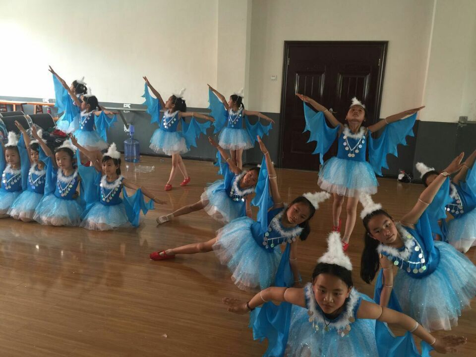 带翅膀鸟儿表演服儿童纱质舞蹈裙燕儿飞灵燕飞舞虫儿飞蓝色演出服