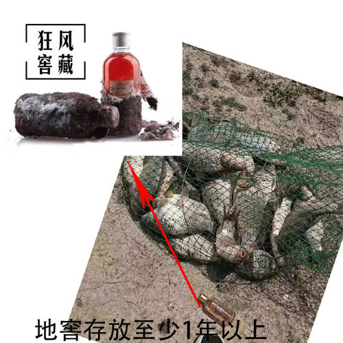 鲫鱼鲤鱼狂风麝香酒添加剂