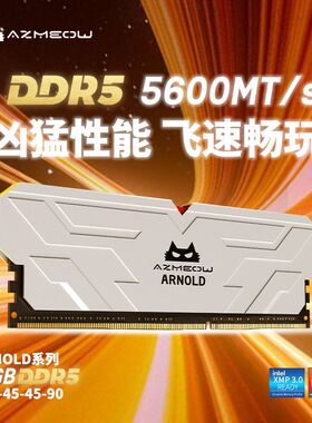 AZMEOW阿兹猫DDR5内存条16G 5600MHz台式机电脑内存电竞马甲条