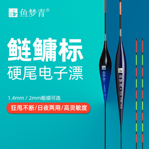 鱼梦青纳米硬尾夜光漂60厘米