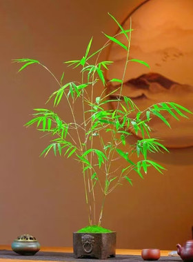 居士雅竹内门竹微型绿植直播间桌面办公室内四季易繁殖小绿植竹子