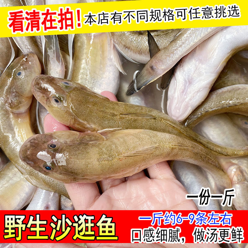 连云港新鲜小沙光鱼野生海鲶鱼小龙鱼扔巴鱼鲜活赛龙鱼1斤约6-9条
