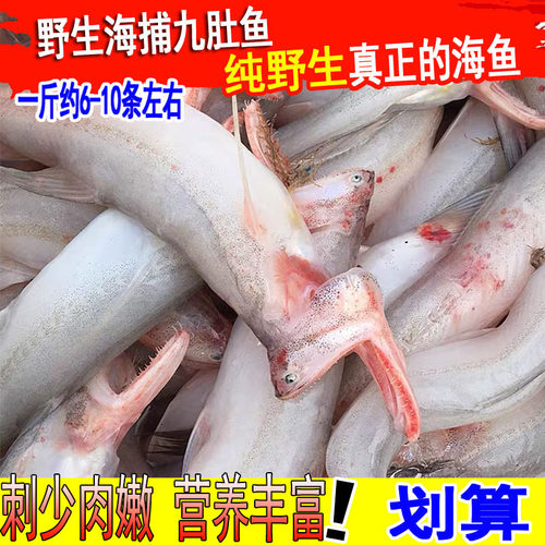 新鲜九肚鱼豆腐鱼宝宝辅食