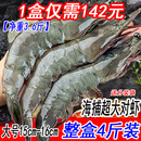 4斤海虾鲜活速冻海鲜生鲜水产速冻大对虾基围虾顺丰净重3.6斤盒装