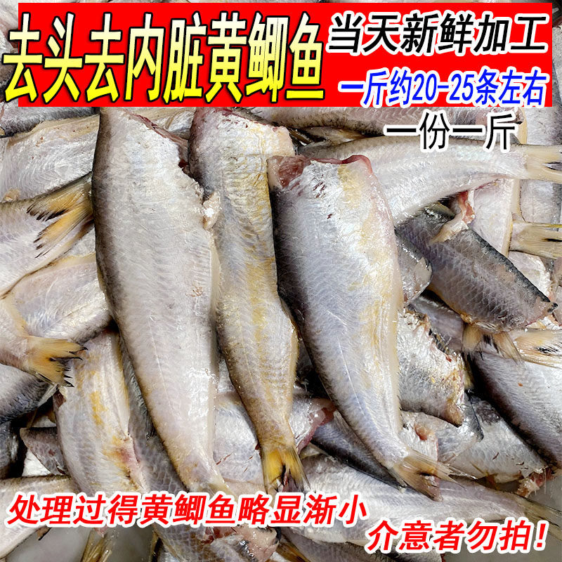 去头去内脏黄鲫鱼新鲜图片