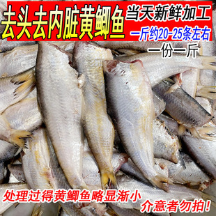 去头去内脏新鲜黄鲫鱼油煎油扣鱼马口鱼烤子鱼黄尖子1份1斤毛扣鱼