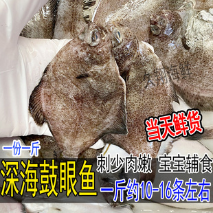新鲜小高眼鱼鼓眼鱼偏口鱼比目鱼小船货1斤10-16条小嘴鱼宝宝辅食