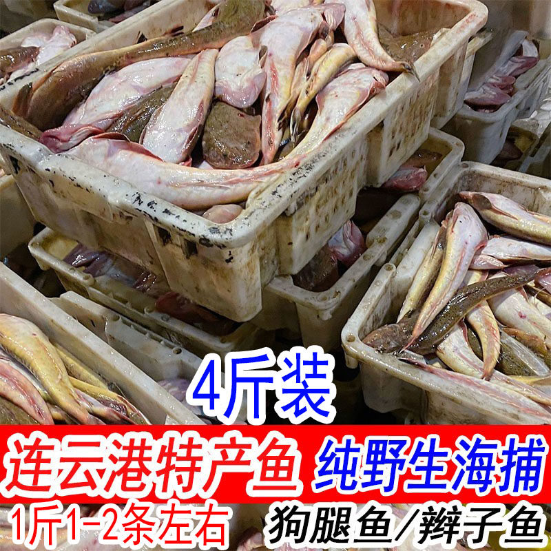 新鲜辫子鱼牛尾鱼海捕狗腿鱼鲜活真空包装海鱼海鲜水产拐子鱼4斤