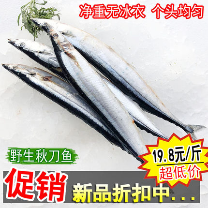 【野生秋刀鱼】 新鲜秋刀鱼速冻海鱼海鲜水产日式烤鱼食材一斤装