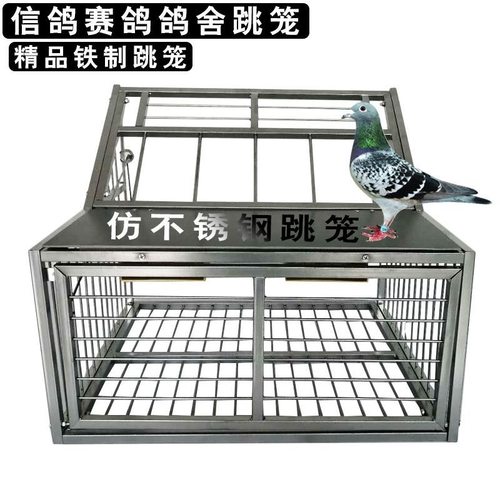 鸽子跳笼信鸽赛鸽用具鸽棚进出口