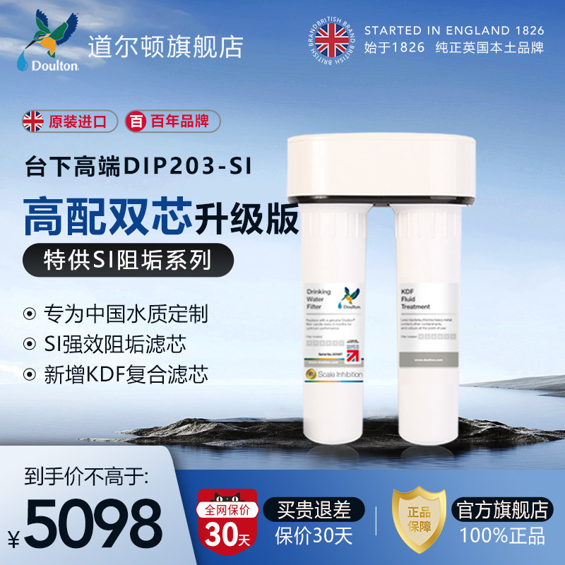 英国道尔顿净水器家用直饮DIP203-SI厨房净水机自来水龙头过滤器