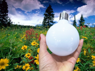 E27大球泡LED龙珠灯泡220V9WLED装饰灯泡室内照明护眼灯大头球形