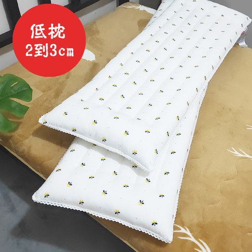 低薄长款双人枕头枕芯送纯棉枕套