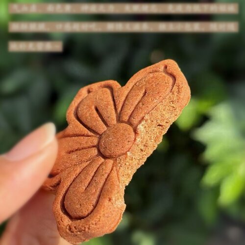 五红粗粮酥五红饼黄芪红枣枸杞桂圆红米红豆莲子健康小零食