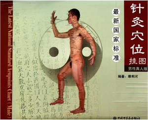 医学书正版 国家标准针灸穴位挂图（男性真人版） 睢明河 9787802318335 中国中医药出版社