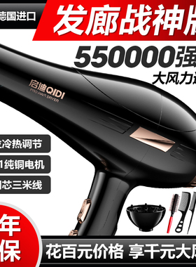 德国家用电吹风机负离子静音