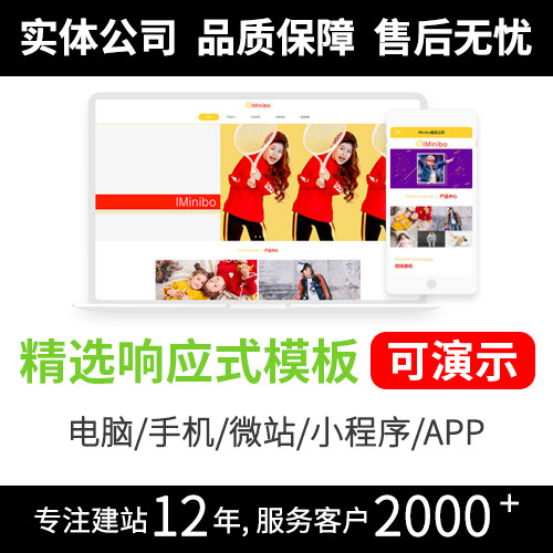 定制网站设计高效网站建设，快速上线提升业务  模板R346
