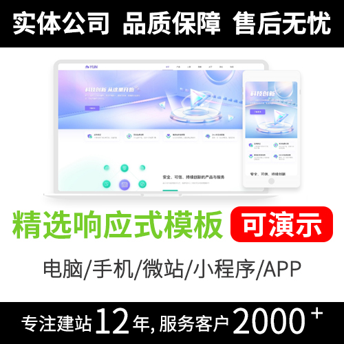 深圳网站制作公司 用心服务每一位客户 互联网模板R166