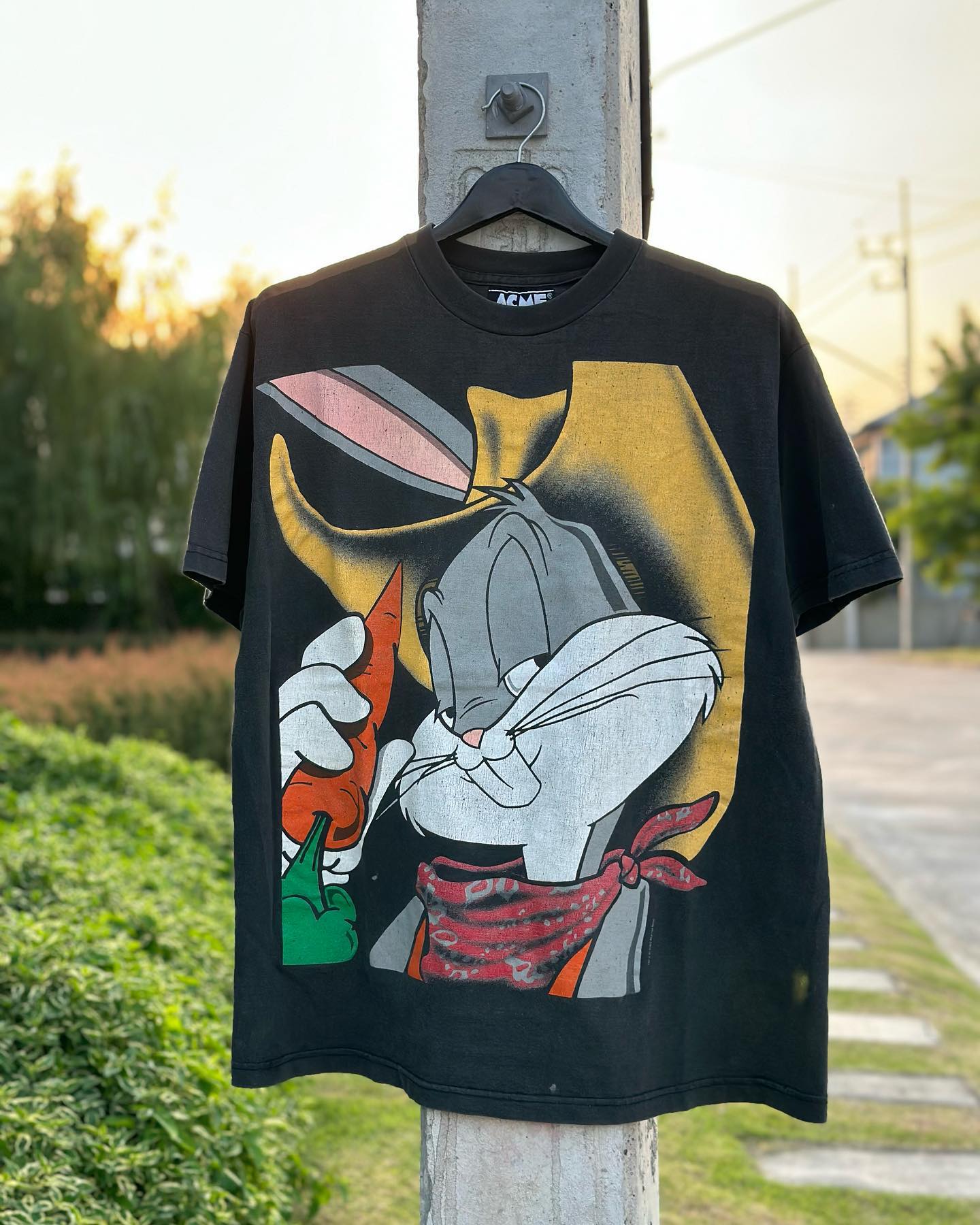 Autismss宝藏屋 吃胡萝卜的兔子Rabbit eating carrots短袖T恤