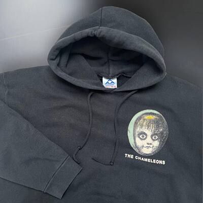 thechameleons变色龙乐队