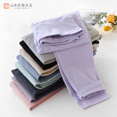 薄款 全棉秋冬季 棉毛衬裤 单件保暖裤 高腰秋裤 线裤 女纯棉内穿打底裤