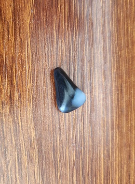 新疆的猫M100402 1.9克基本一口气黑白分明青花精品玩料