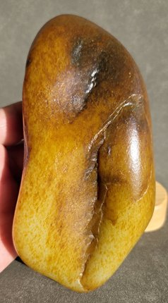 新疆的猫W121806 782.43克，玉质满老结艳红皮白玉天然摆件玩籽