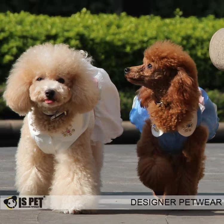 ISPET艾斯彼特 狗狗衣服 清仓 春夏 翻领蝴蝶结连衣裙 dr0041