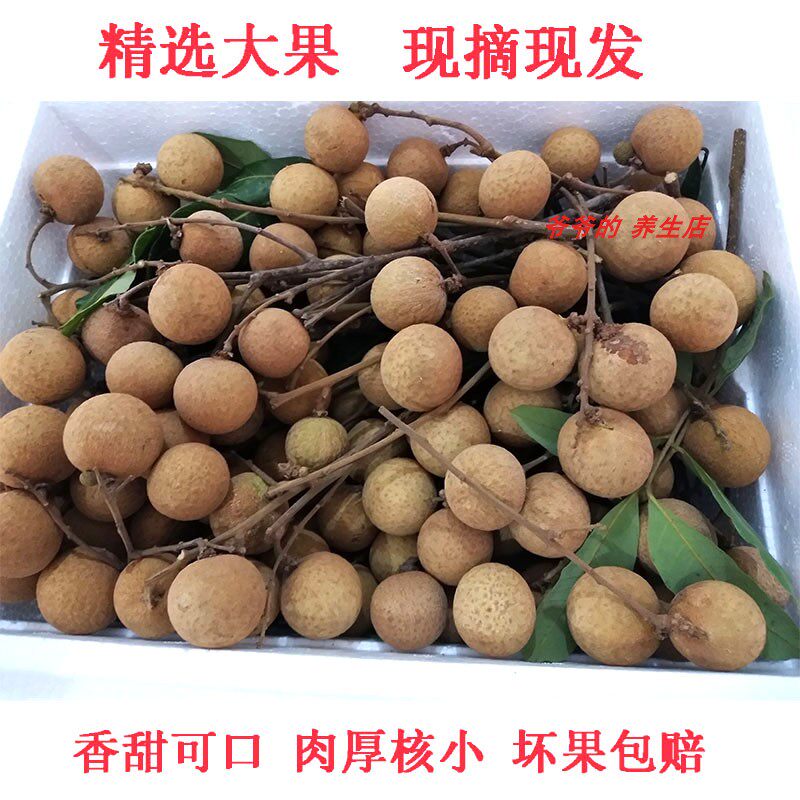四川泸州龙眼新鲜包邮现摘现发整龙眼