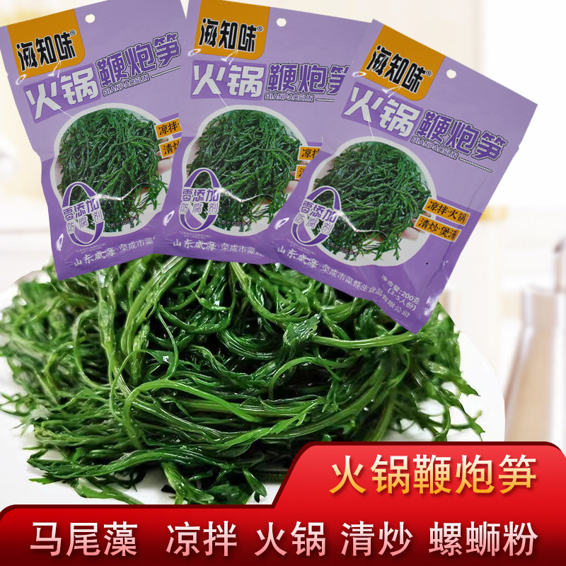 海知味鞭炮笋新鲜盐渍马尾藻龙须菜火锅凉拌菜海藻长寿菜火锅食材