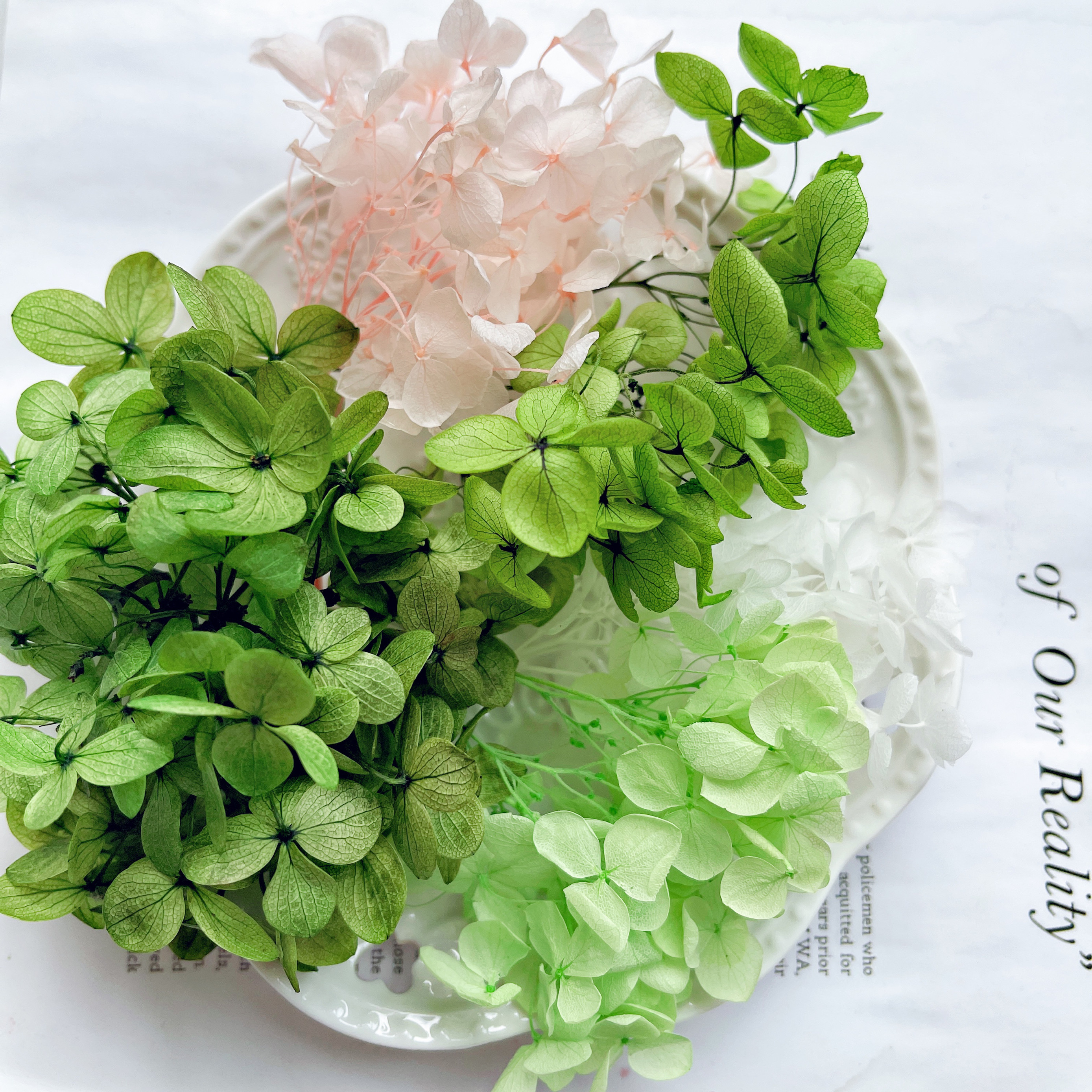 永生花真花绣球干花情人节结婚生日伴手礼包装DIY花材永生绣球花