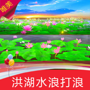 洪湖水浪打浪 配乐成品 芦苇 荷花 芦苇汤 唯美水乡  视频素材