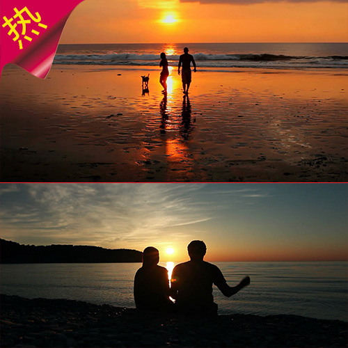 实拍海边情侣看海 海边夕阳恋人遛狗玩耍 逆光剪影 视频素材