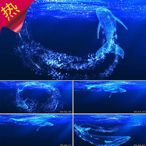 全息蓝色粒子海洋大鲸鱼 空虚海洋 鲸鱼游动 海底世界 视频素材