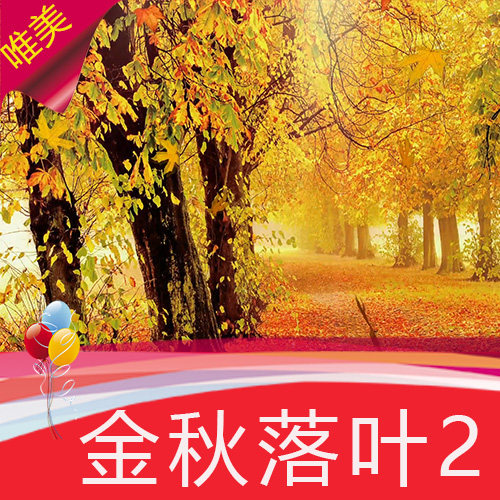 秋天枫叶飘落 意境秋天 金色秋天 金秋 回忆 婚礼背景 视频素材