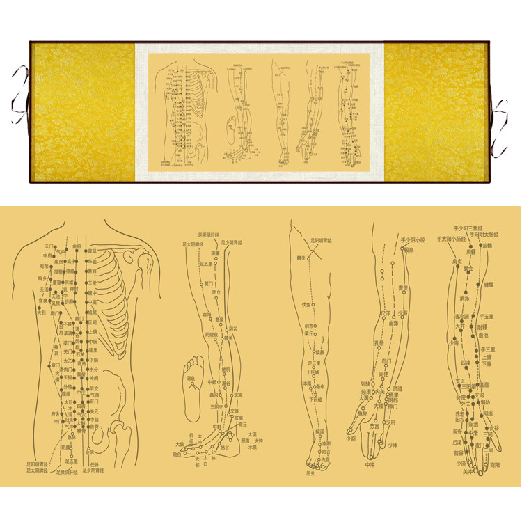 中医十二经络图丝绸画 精品人物穴位挂图 养生文化国画卷轴画定制