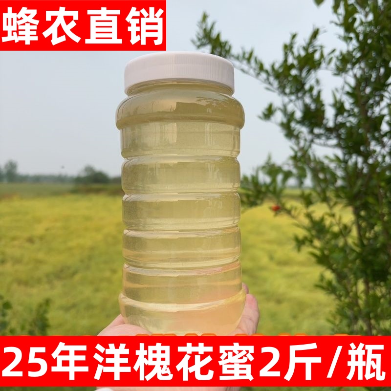 新鲜洋槐花蜂蜜蜜42度水白色纯正天然农家自产槐花蜜土蜂蜜无添加