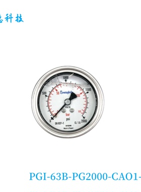【PGI-63B-PG2000-CAO1-B】Swagelok 63 mm  0-135 bar 中心向后