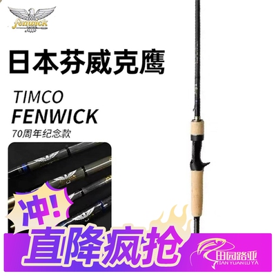 日本进口路亚竿远投翘嘴鲈鱼鳜鱼