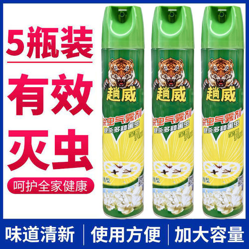 750ml杀虫气雾剂灭蚊子苍蝇蟑螂