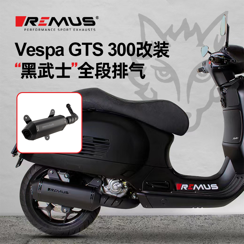 Remus维斯帕GTS300全尾段排气管