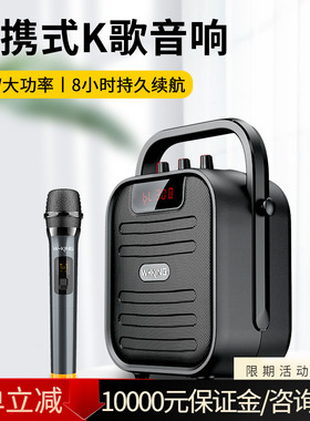 维尔晶T5+手提蓝牙音响便携广场舞居家唱歌会议大音量U盘户外音响