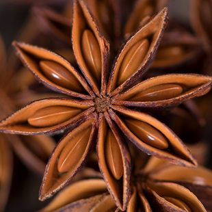 广西大红八角大料十成干无硫全干精选精品一级秋收野生八角不熏硫