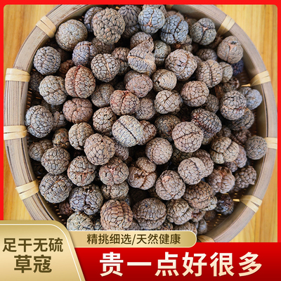 草蔻中药材正宗广西草豆蔻草寇大草扣香料老寇中草蔻香料草扣
