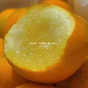 融安第三代脆蜜金柑当季新鲜孕妇水果3斤纯甜脆密金桔现货顺丰1