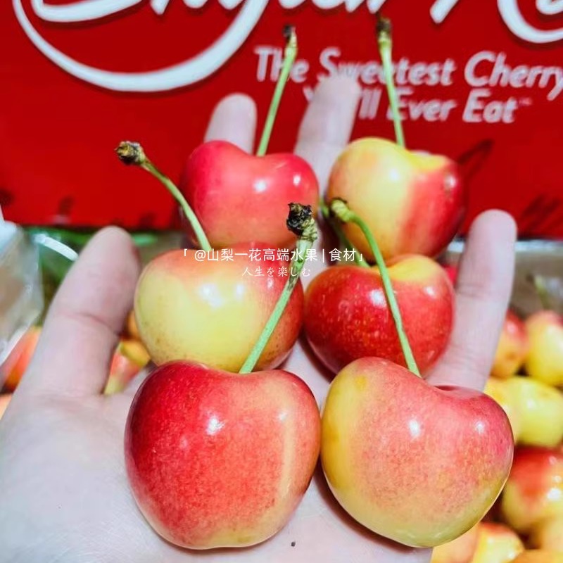 智利进口斯凯拉雷Skylar Rae大樱桃黄车厘子2J级大果4斤原箱顺丰