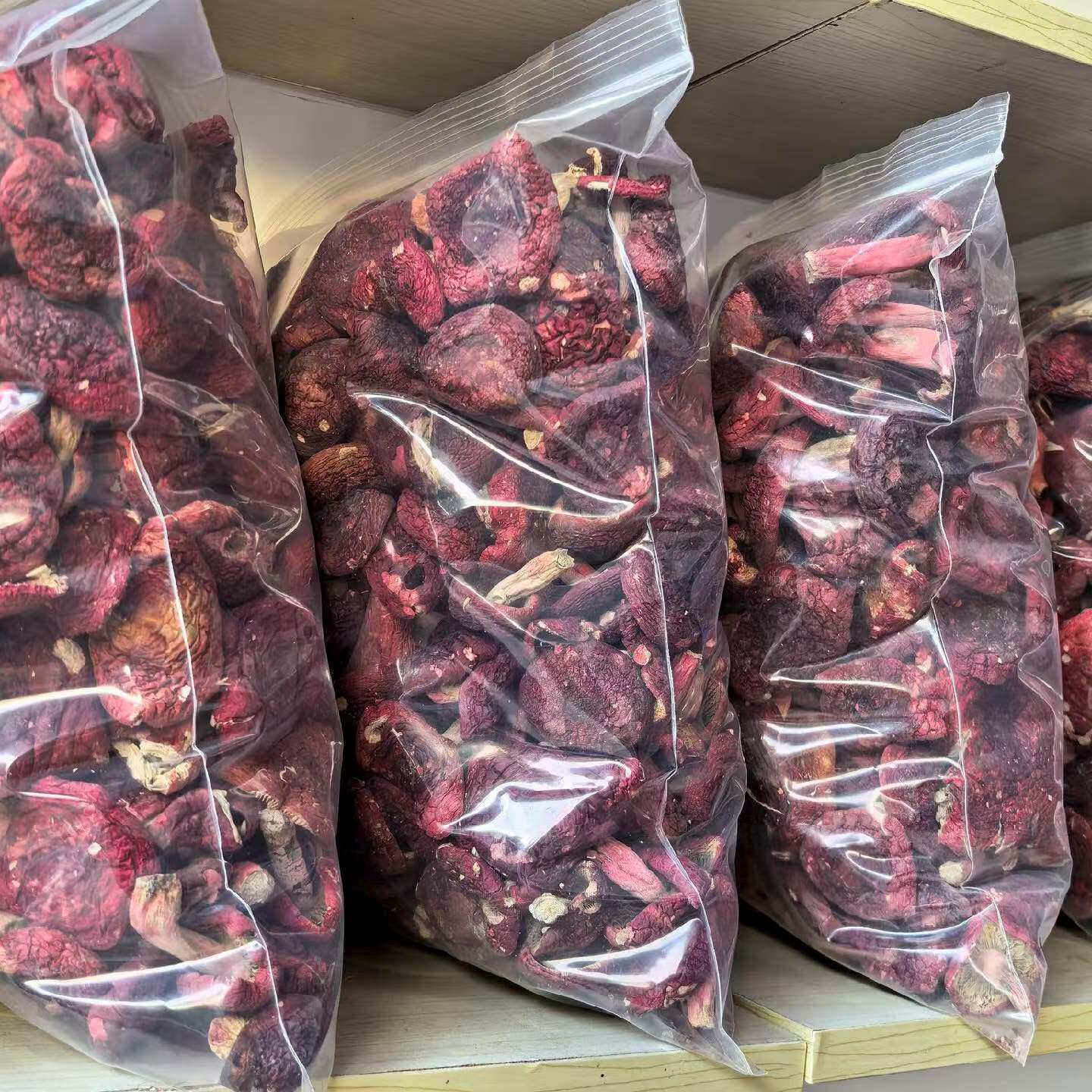 蕉岭长寿之乡南北寨产红菇包邮野生山上生长红菌干货500g红稚菌