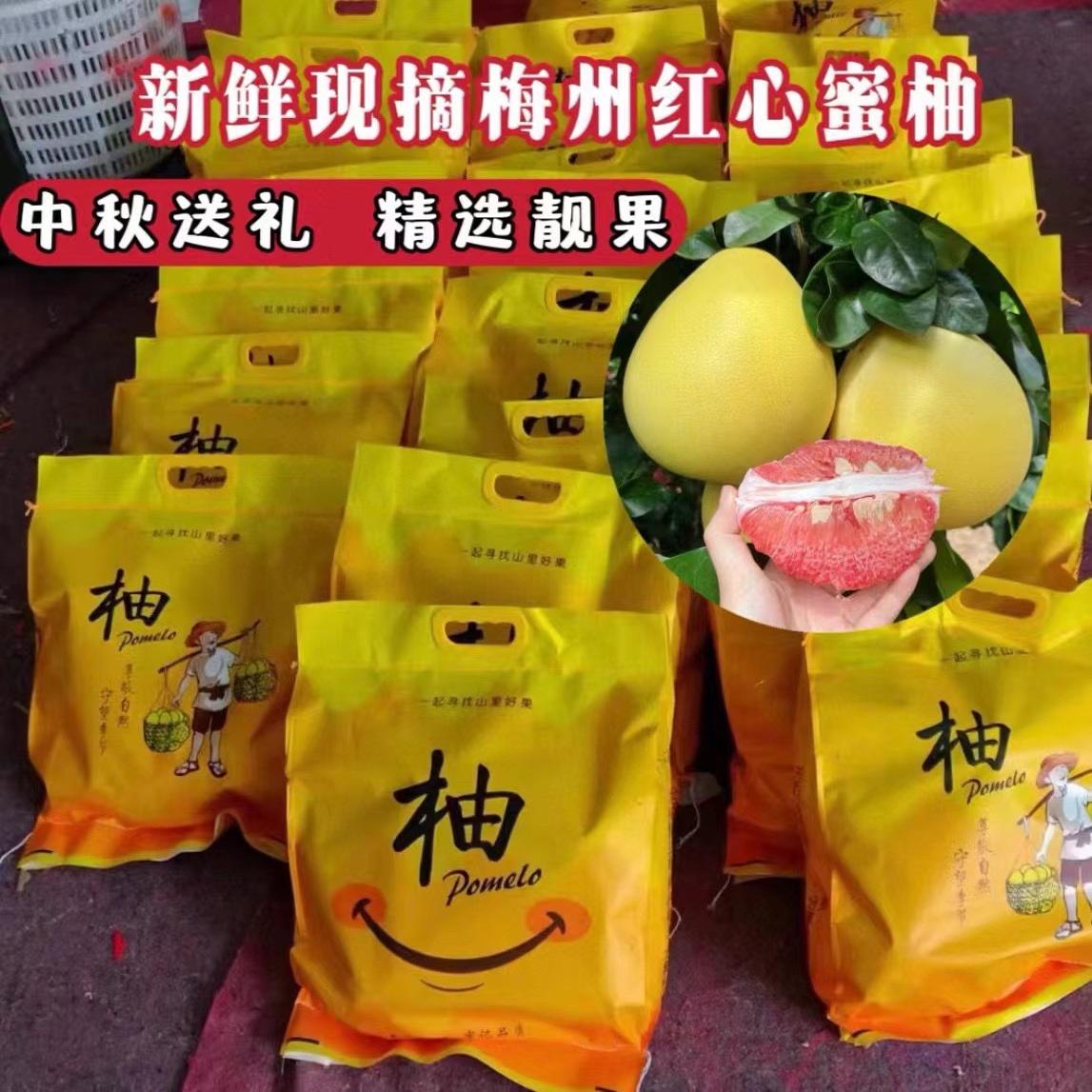 广东包邮梅州沙田柚梅州柚蕉岭柚柚子