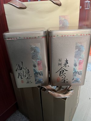 鸭屎香凤凰单枞茶雪片单丛乌岽单从潮州清香型乌龙新茶春茶叶500g